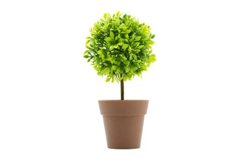 Artificial tree in pot isolated in white background. Concept image for interi Stock Photos