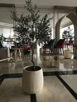 Artificial tree pot in the restaurant Stock Photos
