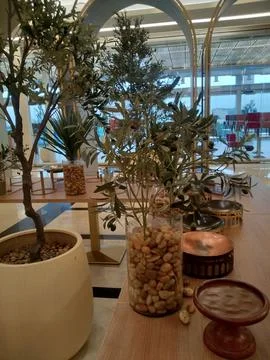 The artificial tree pot in the restaurant Stock Photos