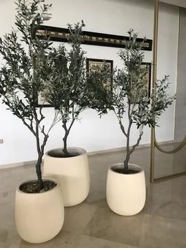 The artificial tree pots Stock Photos