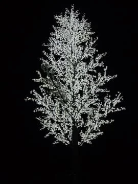 Artificial tree with white bulbs on branches Stock Photos