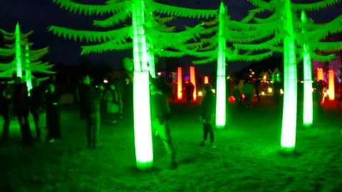 Artificial trees on a light show Stock Footage 239940480