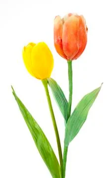 Artificial tulip on white background Stock Photos