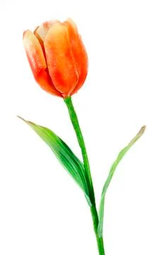 Artificial tulip on white background Stock Photos