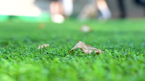 Artificial turf. Macro close-up of a soccer field turf. Fallen dry leaf in the Stock Footage 135859704