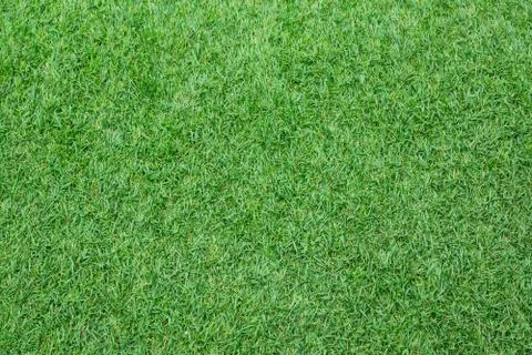 Artificial turf Stock Photos