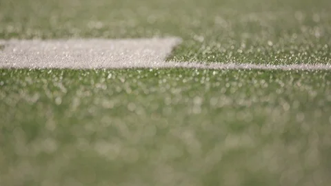 Artificial turf with a thin line of focus Stock Footage 103883601