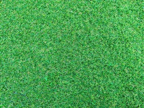 Artificial turf, top view view Stock-Fotos