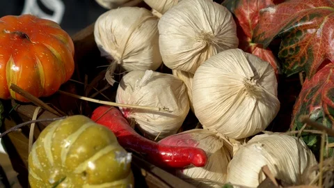 Artificial vegetable close up paning background outdoor in autumn afternoon 4K Stock Footage 116784280