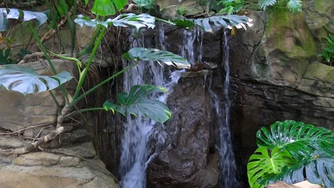 Artificial water fall in Phipps conservatory in Pittsburgh, Pennsylvania. Stockbeeldmateriaal 293656037