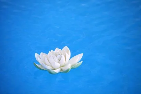 Artificial water lilly Stock Photos