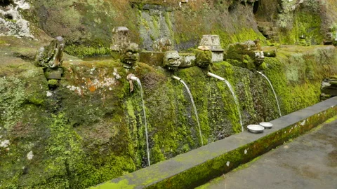 Artificial water streams and stone decorations covered with green moss in a Stock Footage 188241513