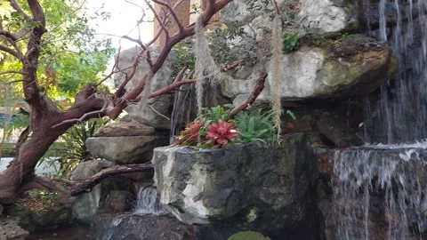 Artificial waterfall and koi fish Stock Footage 299965691