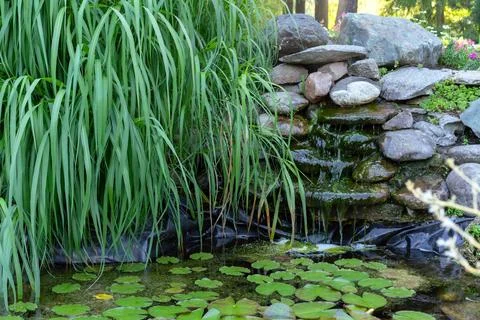 Artificial waterfall in a composition with stones, grass and water lilies. Stock Photos