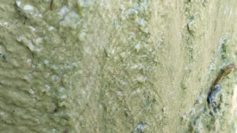 Artificial waterfall flowing Stock Footage 262400608