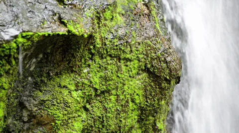 Artificial waterfall in the garden Stock Footage 38493158