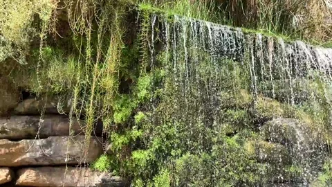 Artificial waterfall in a recreation and amusement park. Stock Footage 220620062