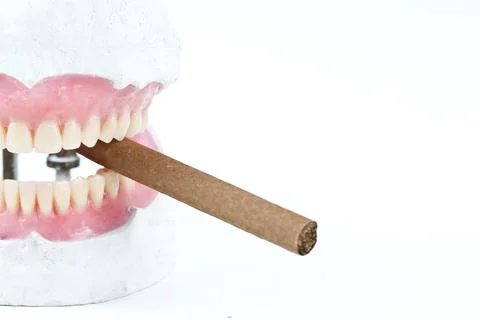 Artificial wax  denture with a   cigarette Stock Photos