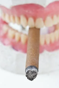 Artificial wax  denture with a   cigarette Stock Photos