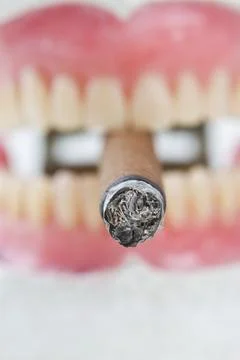 Artificial wax  denture with a   cigarette Stock Photos
