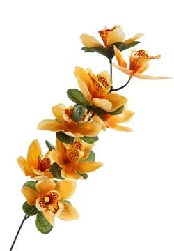 Artificials Stock Photos