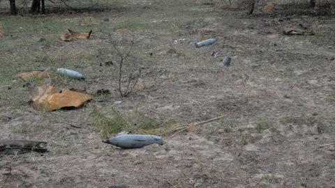Artillery shells scattered across the clearing Stock Footage 196476286