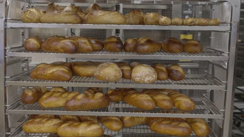 Artisan Bread cools on metal rack in bakery Stock Footage 220581771
