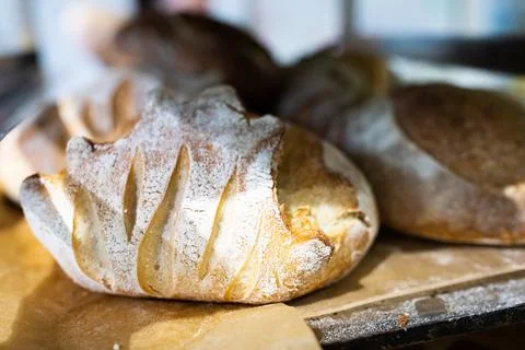 Artisan bread on the counter in the bakery. The Stock Photos