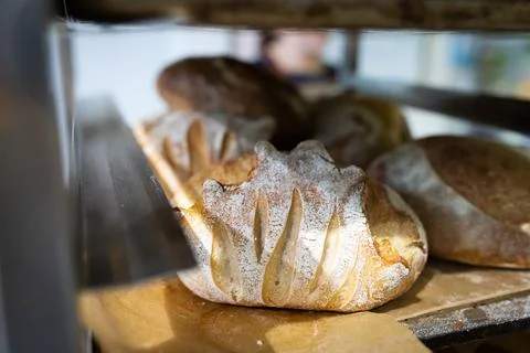 Artisan bread on the counter in the bakery. The Stock Photos