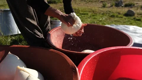 Artisan Cheese Making Stock Footage 339226778