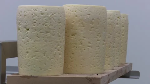 Artisan cheese in various stages of aging on storage shelves a collection 動画素材 337060731