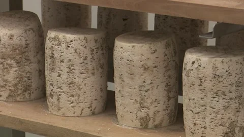 Artisan cheese in various stages of aging on storage shelves a collection Видео 337060733