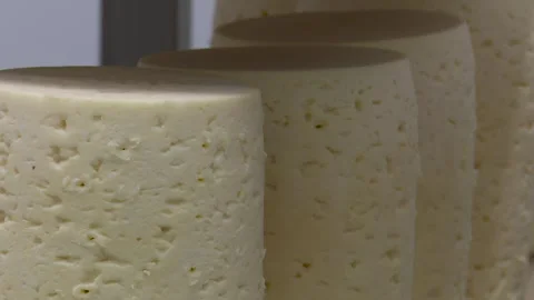 Artisan cheese in various stages of aging on storage shelves a collection Видео 337060735