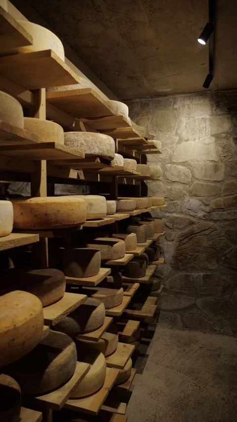 Artisan Cheese Wheels Aging on Shelves in Traditional Stone Cellar Видео 342542138