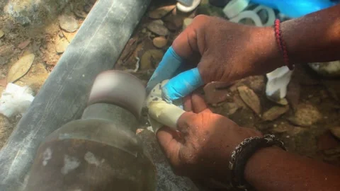 Artisan Hand Polishing Bone Component with Power Tool Stock Footage 337250686