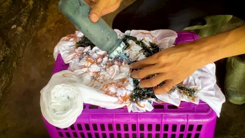 Artisan Hands Applying Liquid Dye Directly on Tied Fabric Stock-Footage 336796689