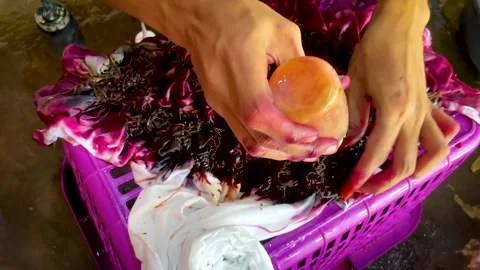 Artisan Hands Applying Liquid Dye Directly on Tied Fabric Stock-Footage 336804867