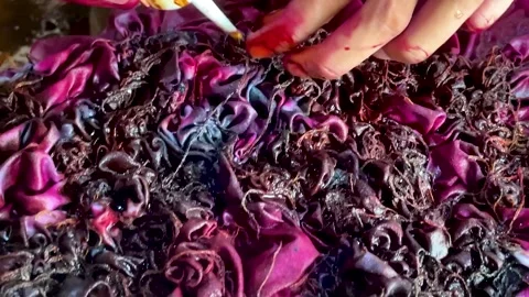 Artisan Hands Applying Liquid Dye Directly on Tied Fabric Stock-Footage 336804914