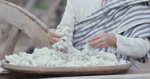 Artisan Hands Sorting Raw White Cotton In Woven Basket Close Up Shot Video stock 331876618