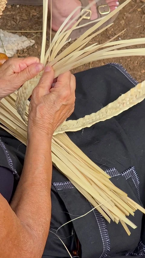 Artisan hands top down view weaving traditional palm leaf strips llata for c Stock Footage 343458551