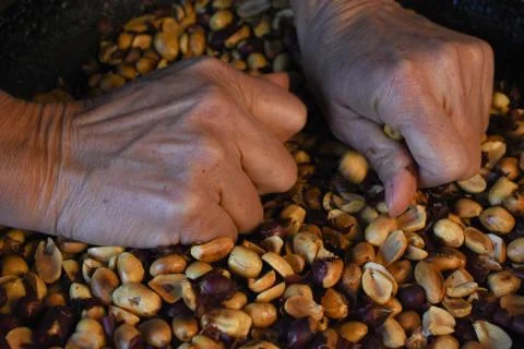 Artisan process of pealing roasted peanuts. Stock Photos
