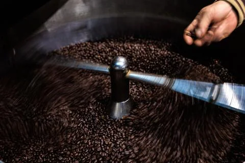 Artisan Roaster Checking Dark Coffee Beans In Industrial Cooling Tray Close.. 库存照片
