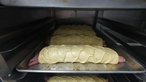 Artisanal Ham Bread Loaves with Lattice Pattern Arranged in Industrial Proofer Stock Footage 337438682