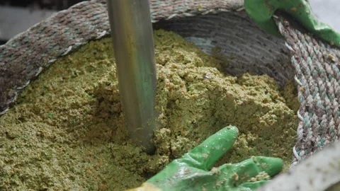 Artisanal Olive Oil Extraction Process. Filling Baskets for pressing 04 스톡 동영상 299673241