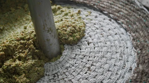 Artisanal Olive Oil Extraction Process. Filling Baskets for pressing 05 Stock Footage 299673659