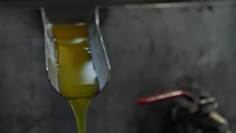 Artisanal Olive Oil Extraction Process. Tube dripping out Oil Stock Footage 299677734
