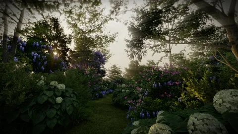 Artist 3d render, hydrangea and flower forest with sunset Stock Footage 231884861