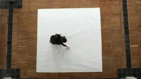 The Artist Stock Footage 79711392