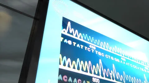 Artist rendering  DNA matching technology. Stockbeeldmateriaal 26382009
