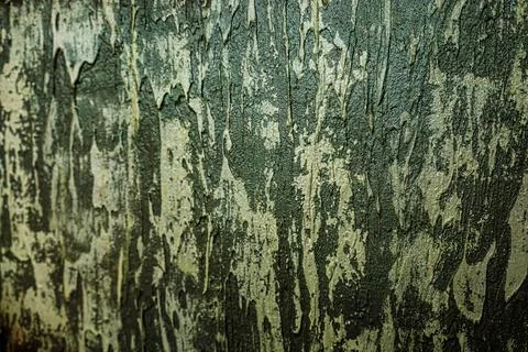 Artistic abstract pattern on a textured wall showcasing vibrant greens and .. Stock Photos